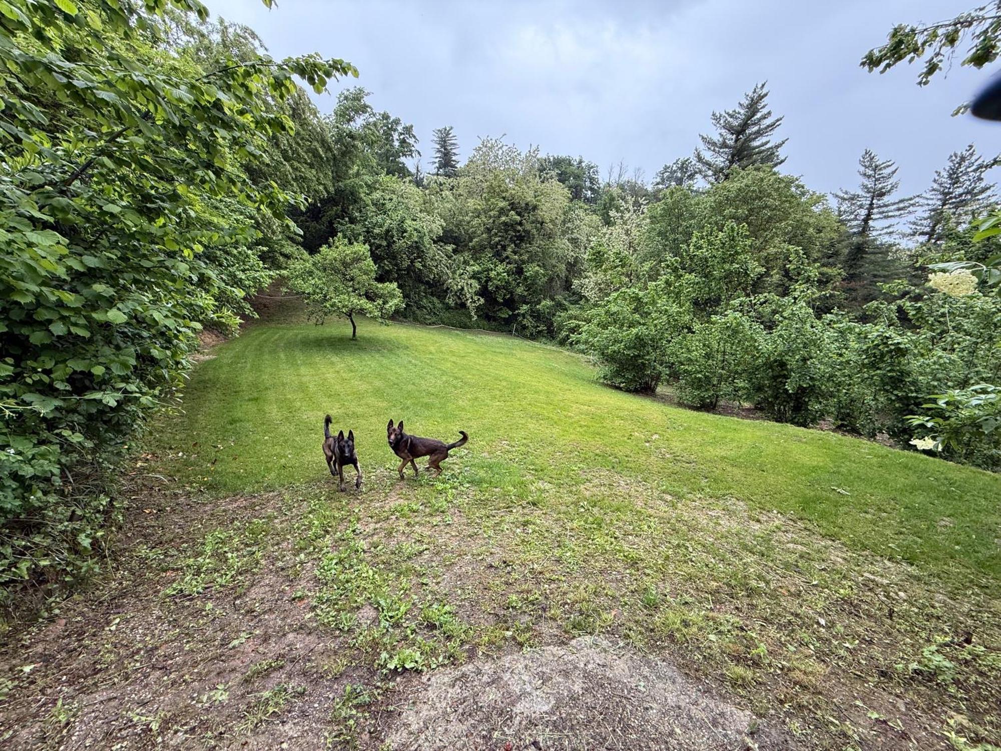 Bnb Dog And Friend Rocchetta Tanaro Zewnętrze zdjęcie